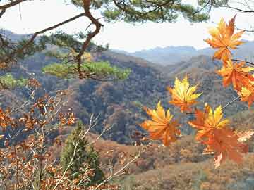 澳门彩门彩票有限公司,贾斯汀·比伯被曝破产 精神状态堪忧