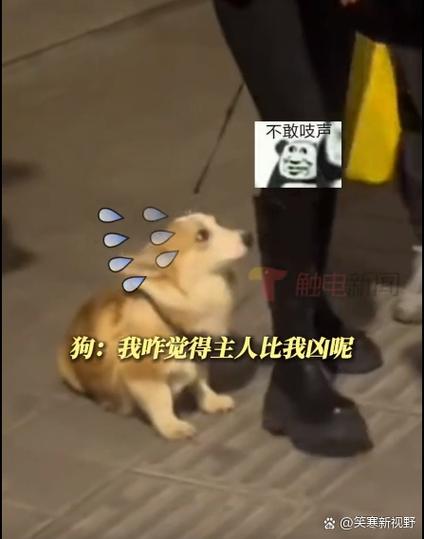 地方关注 第12页