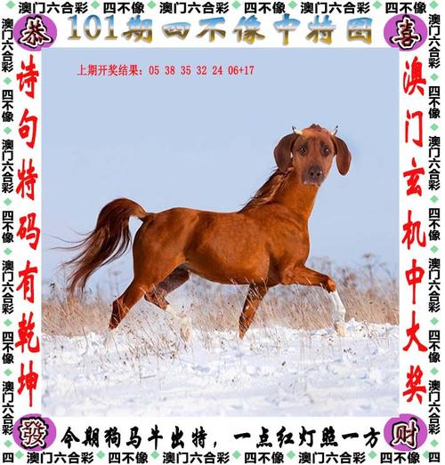 2025澳门天天开好彩大全2023:李在明正式宣誓就职