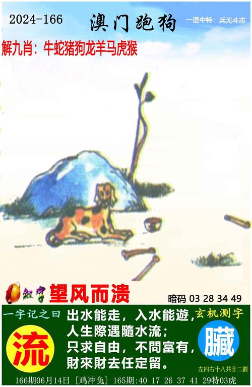 澳彩资料大全部网站010:教授雨夜爬山坠崖
